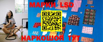 гидропоника Краснодар