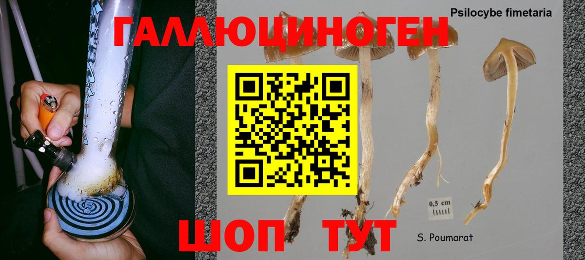 Грозный  Псилоцибиновые грибы прущие грибы  Вход с VPN  Галлюциногенные грибы MAGIC MUSHROOMS 